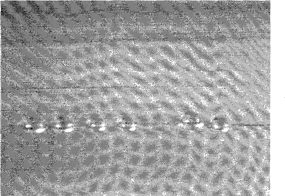 Method for Vectran carbon fiber surface modification of plasma coated with silicon dioxide colloidal sols by plasma treatment