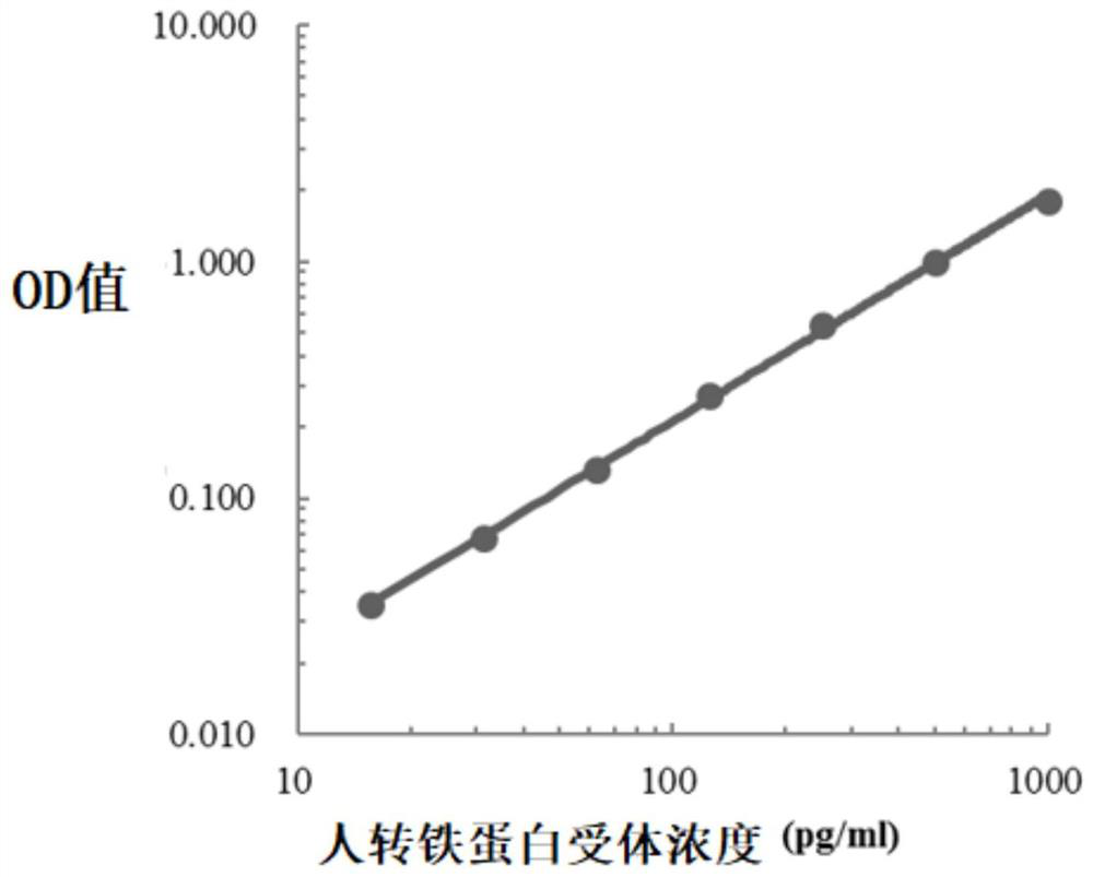 Colorectal cancer excrement protein biomarker as well as kit and application thereof