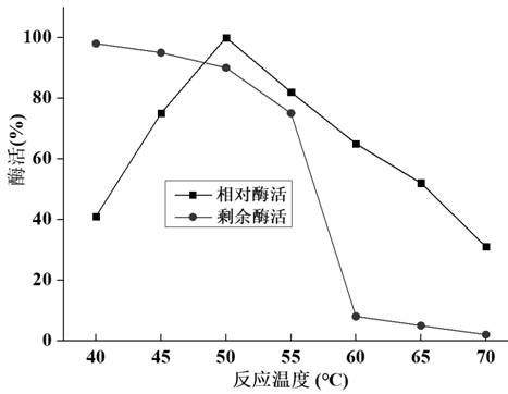 A kind of chitosanase csncv and its mutant csnb and application