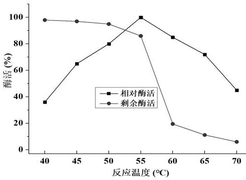 A kind of chitosanase csncv and its mutant csnb and application