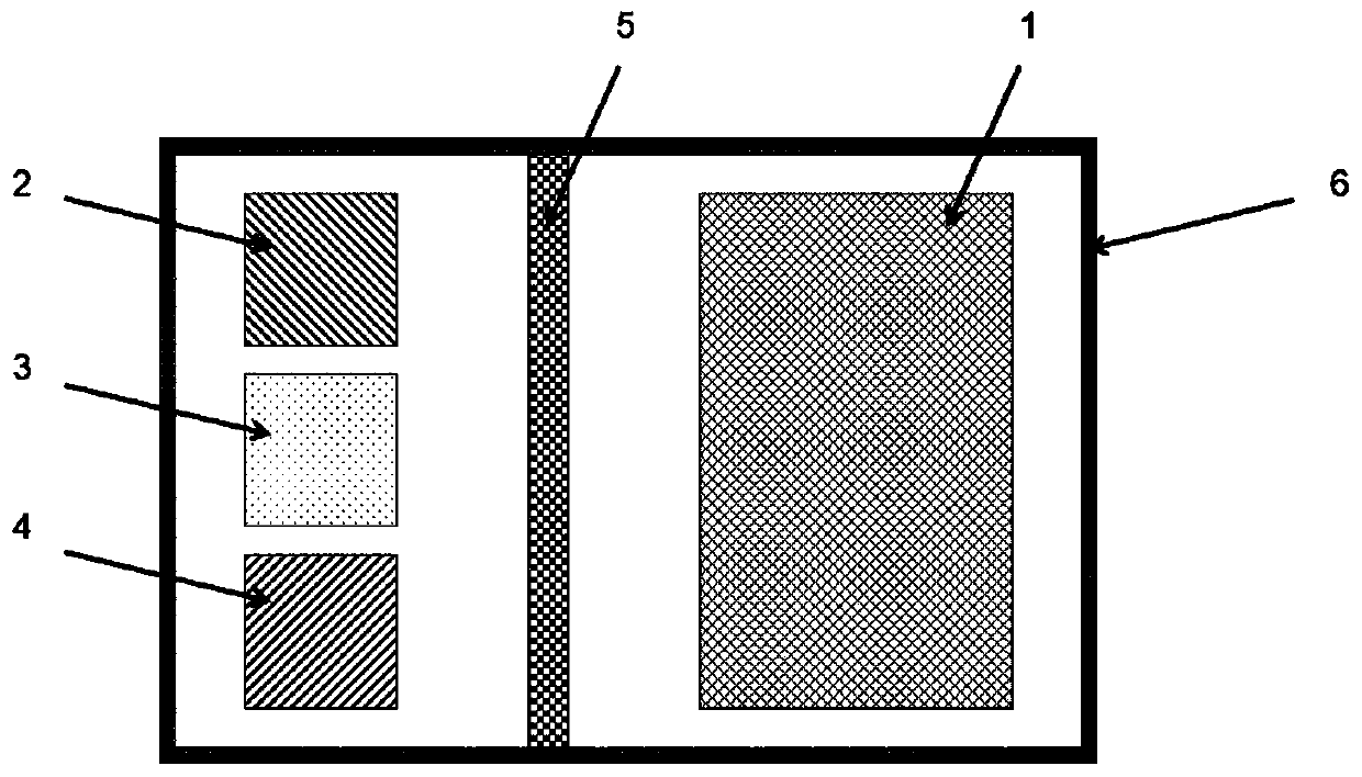 Evaluation device and evaluation method for muscle function state on the basis of photoelectric signal detection