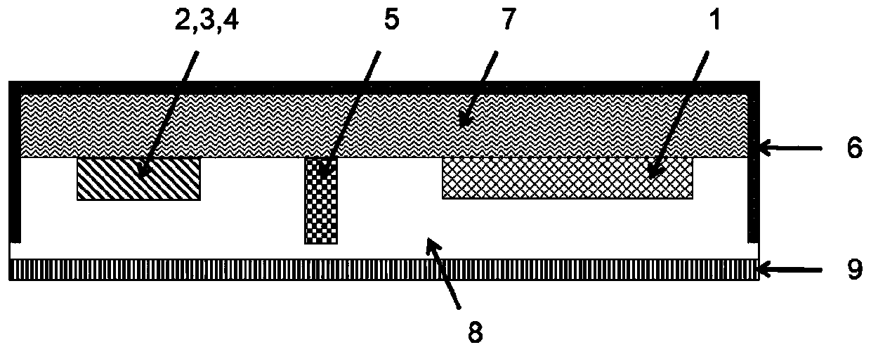 Evaluation device and evaluation method for muscle function state on the basis of photoelectric signal detection