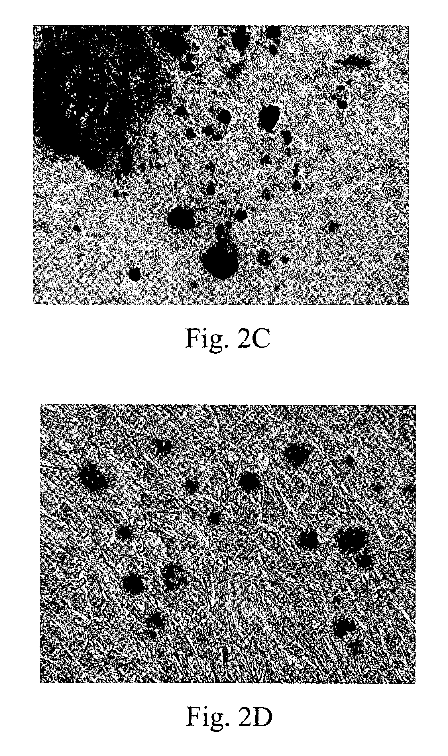 Placental stem cell and methods thereof