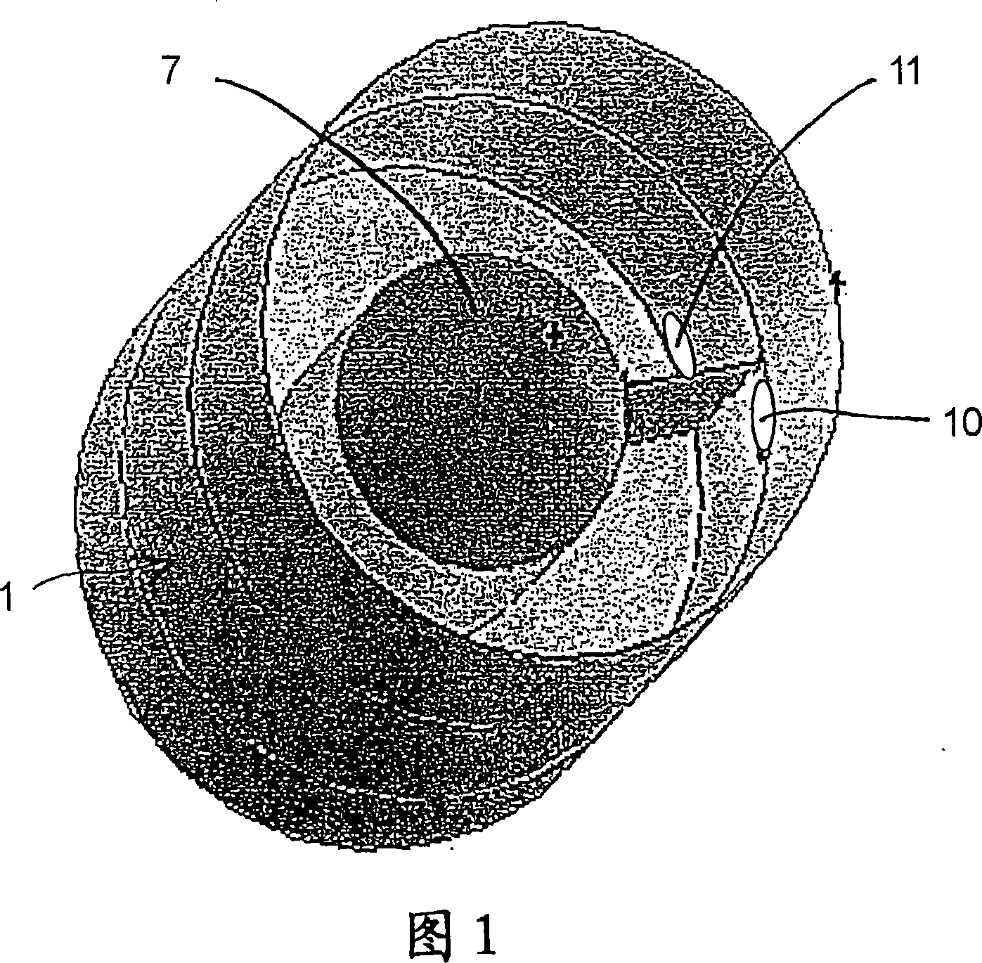 Fluid bed apparatus module and method of changing a first module for a second module in a fluid bed apparatus