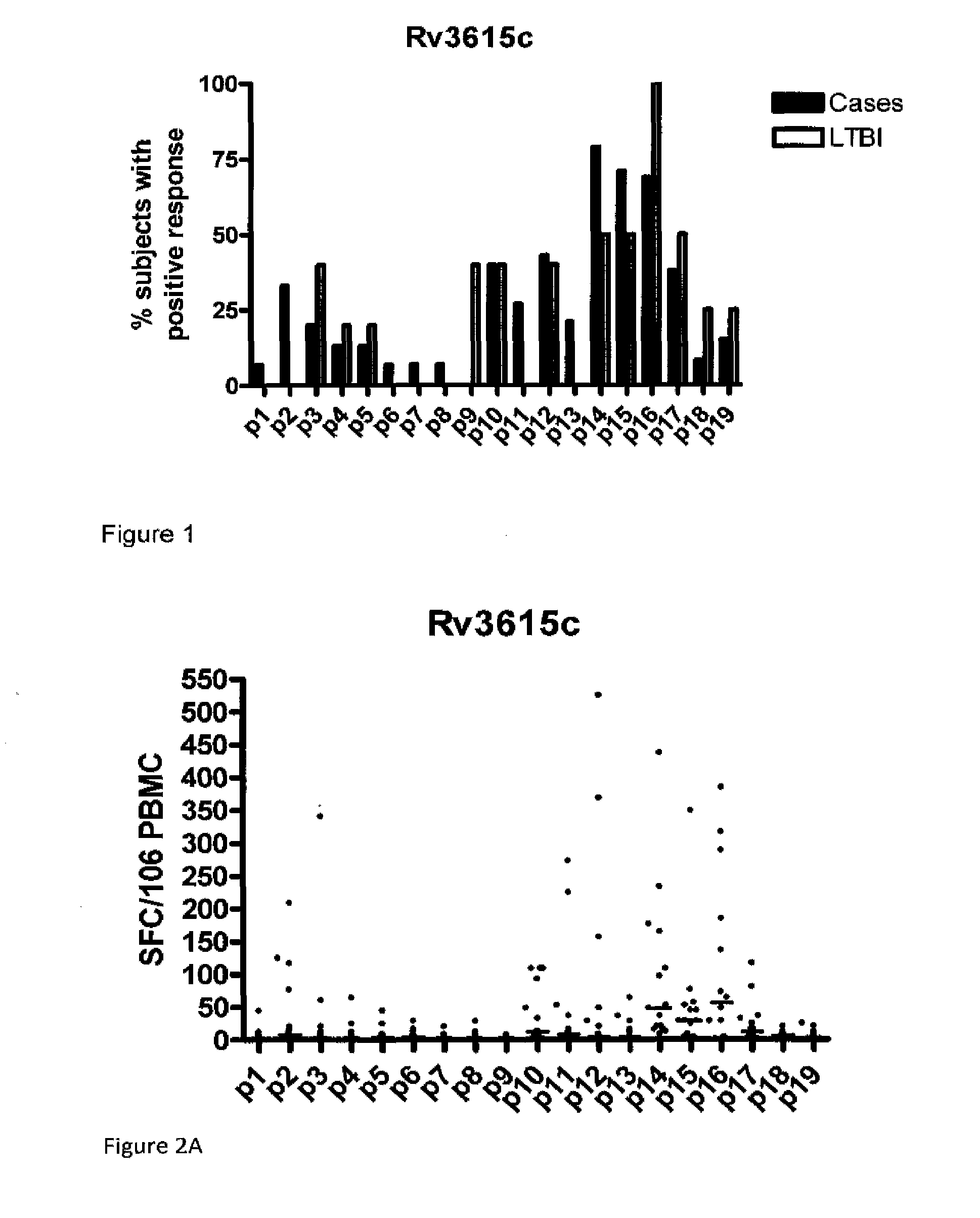 Diagnostic mycobacterium tuberculosis test