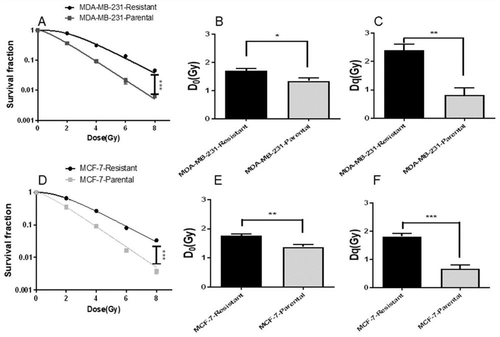 Application of long-chain non-coding RNA CRCAL-3 inhibitor in preparation of product for treating radiotherapy-resistant breast cancer