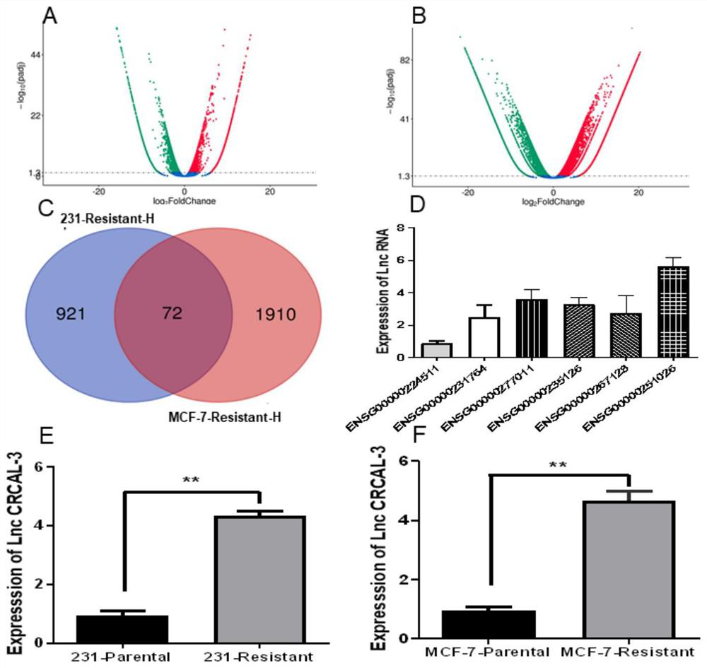 Application of long-chain non-coding RNA CRCAL-3 inhibitor in preparation of product for treating radiotherapy-resistant breast cancer