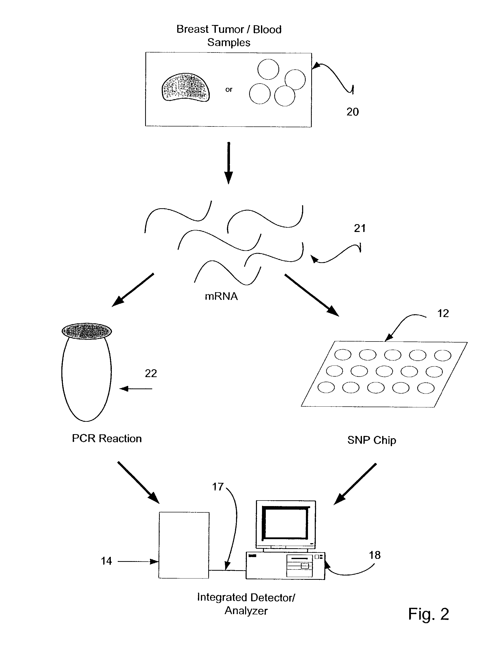 Molecular diagnostic and computerized decision support system for selecting the optimum treatment for human cancer