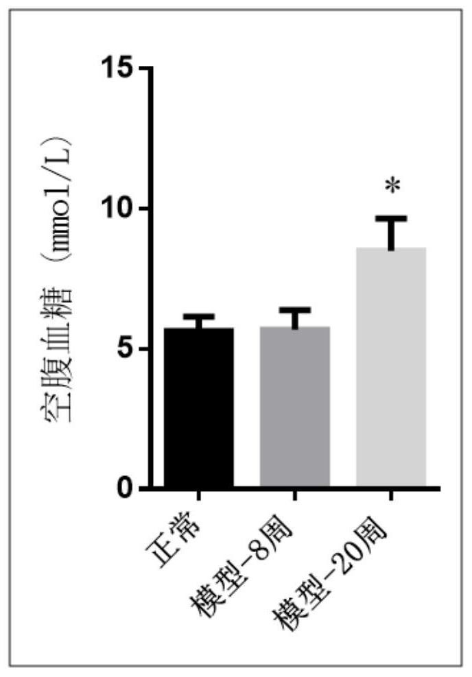 A kind of animal model and construction method of metabolic syndrome in children and adolescents