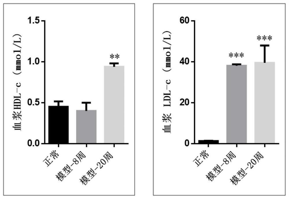 A kind of animal model and construction method of metabolic syndrome in children and adolescents