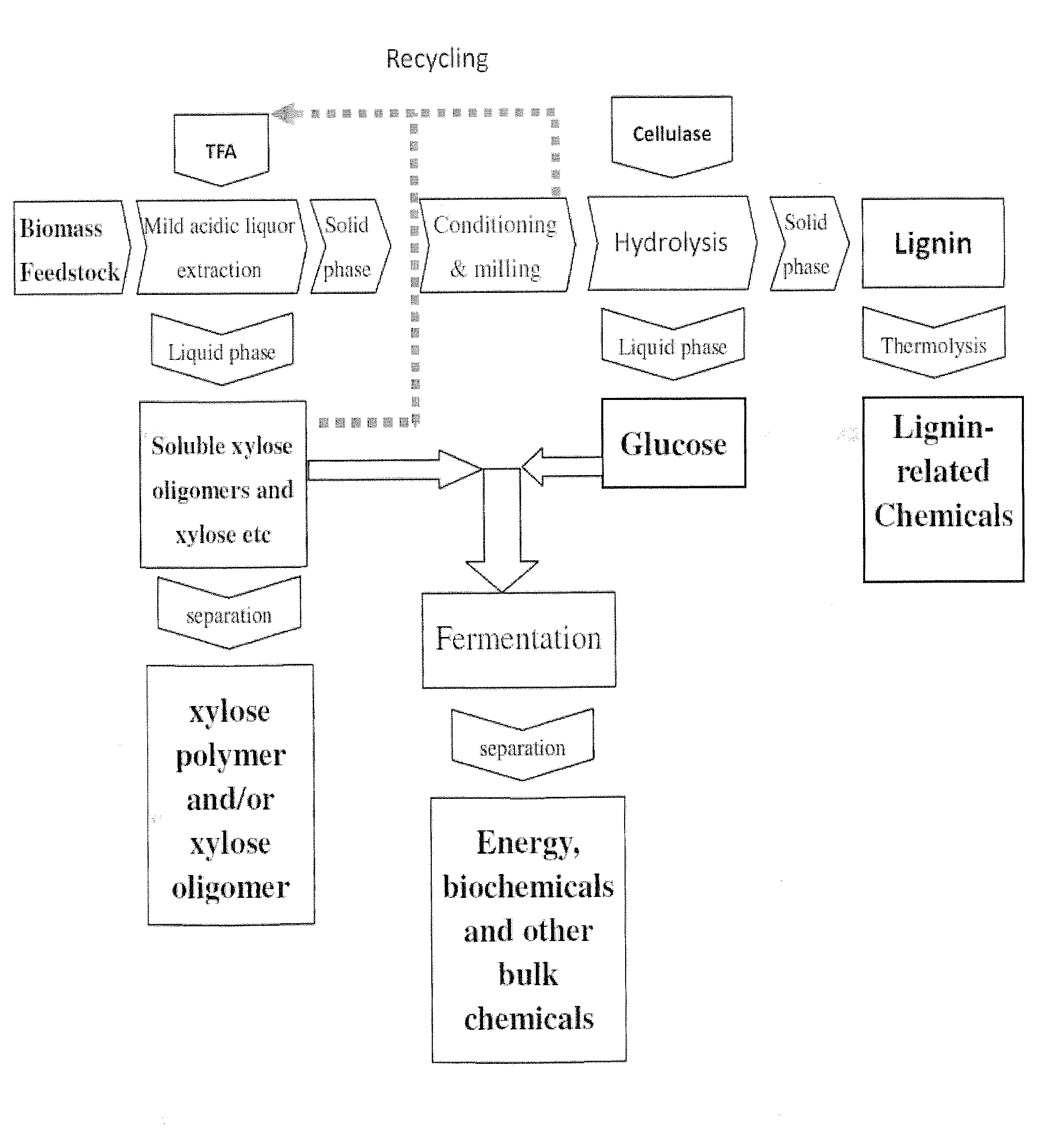 Process for biomass conversion