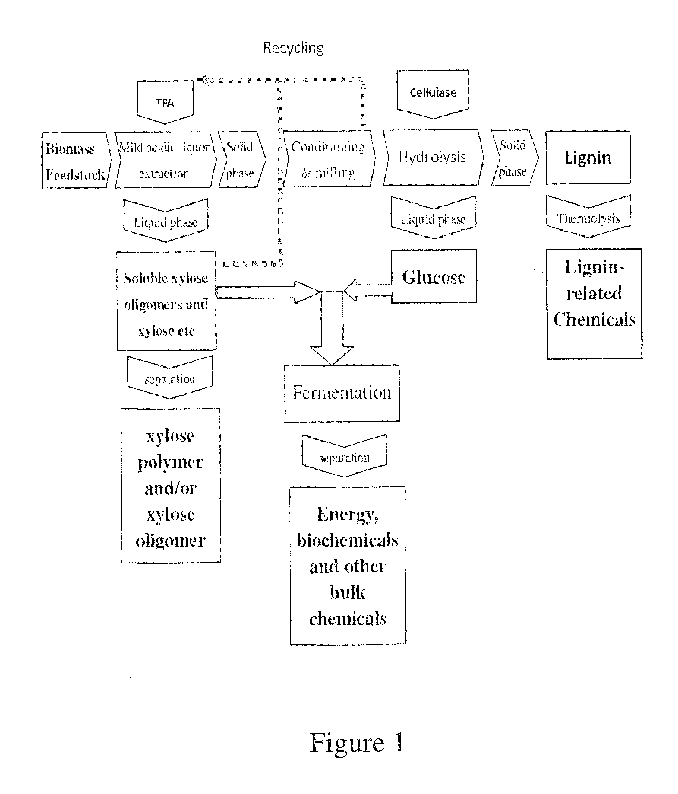 Process for biomass conversion