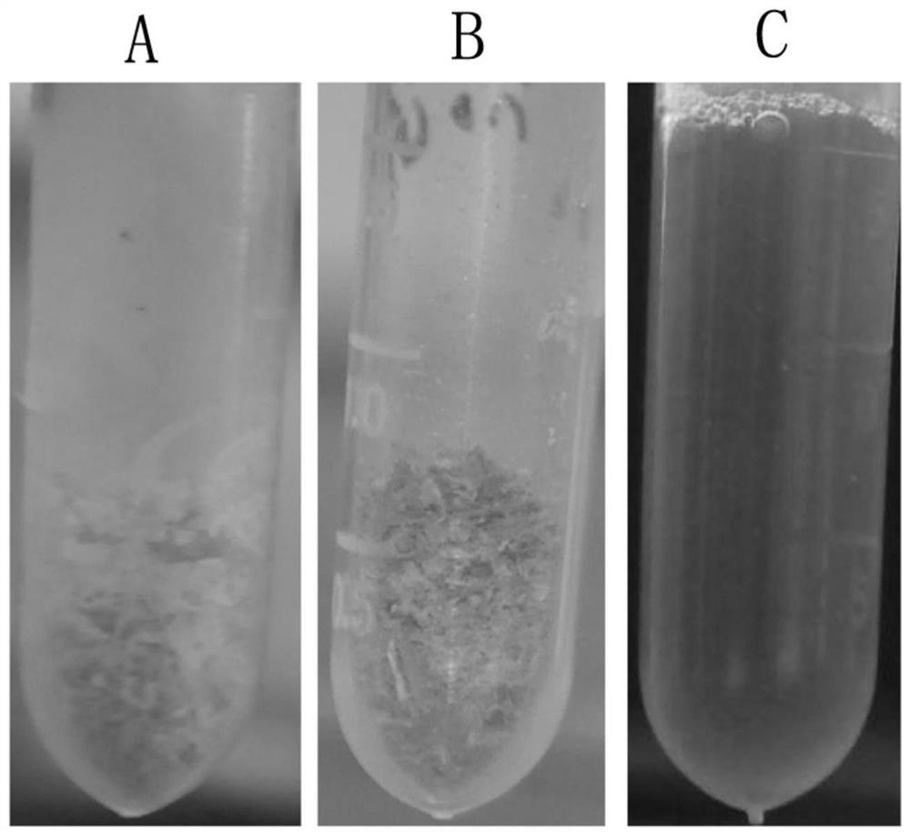 A kind of preparation method of nano gold, nano gold and application