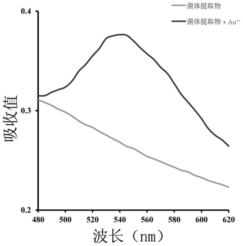 A kind of preparation method of nano gold, nano gold and application