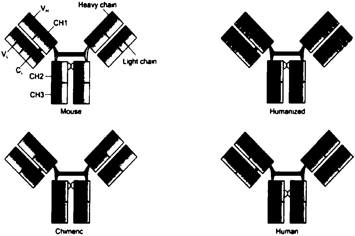 Development and application of fully human or humanized bombesin receptor GRPR monoclonal antibody drug or diagnostic reagents