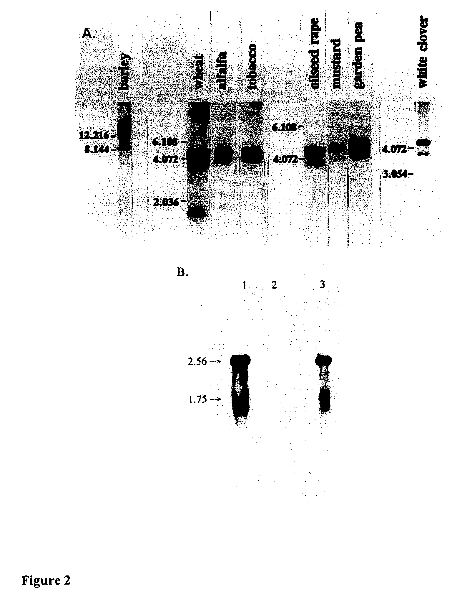 Plant proteins having an abscisic acid binding site and methods of use