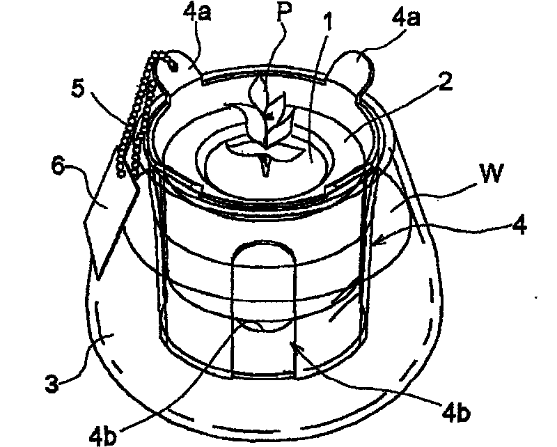 Plant cultivating base body and method of manufacturing the same