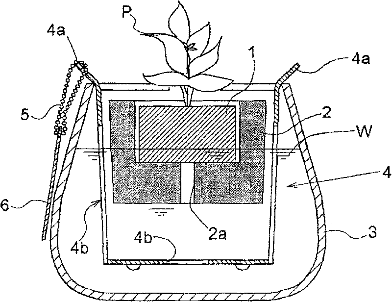 Plant cultivating base body and method of manufacturing the same