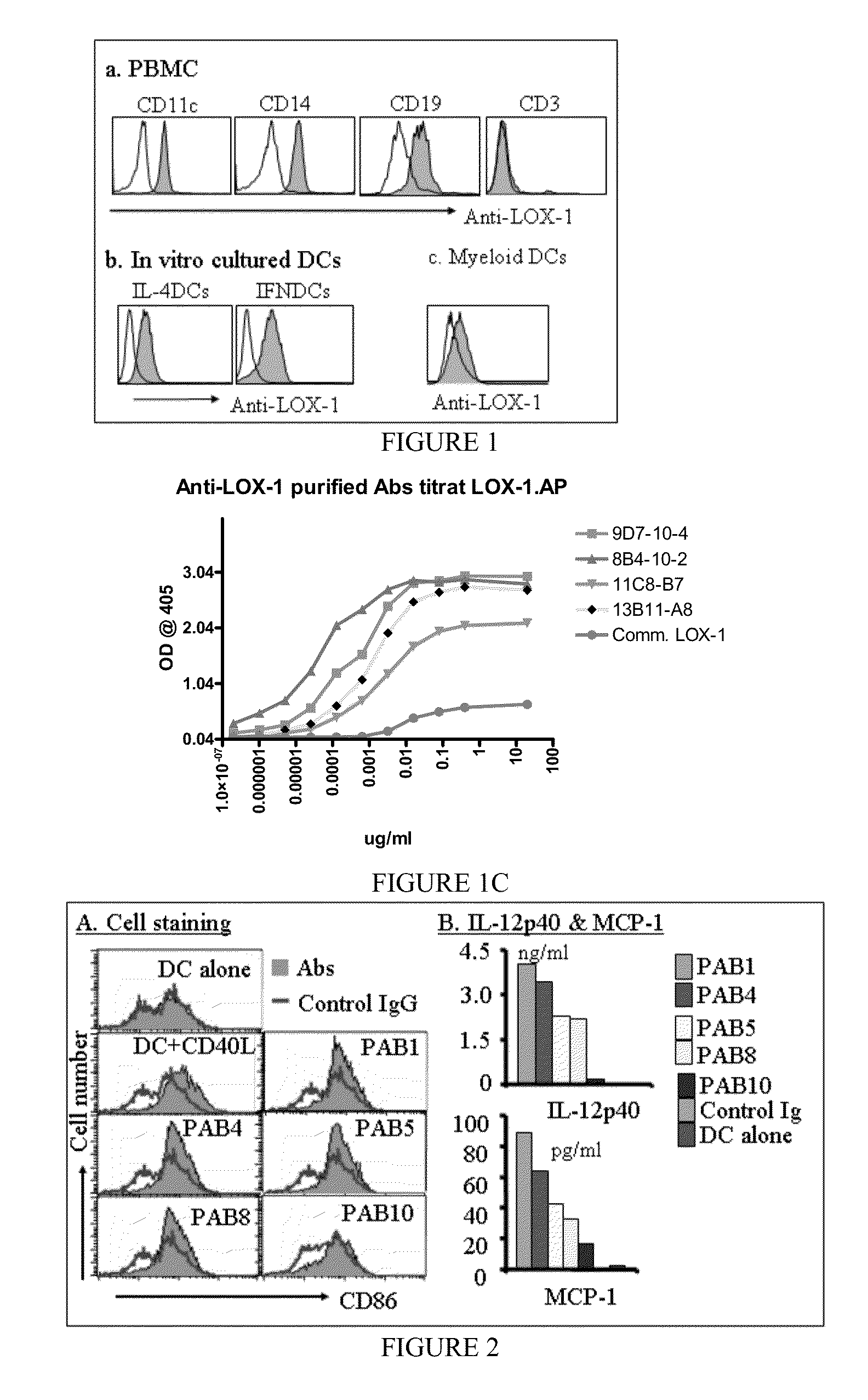 Activation of human antigen-presenting cells through dendritic cell lectin-like oxidized LDL receptor-1 (LOX-1)