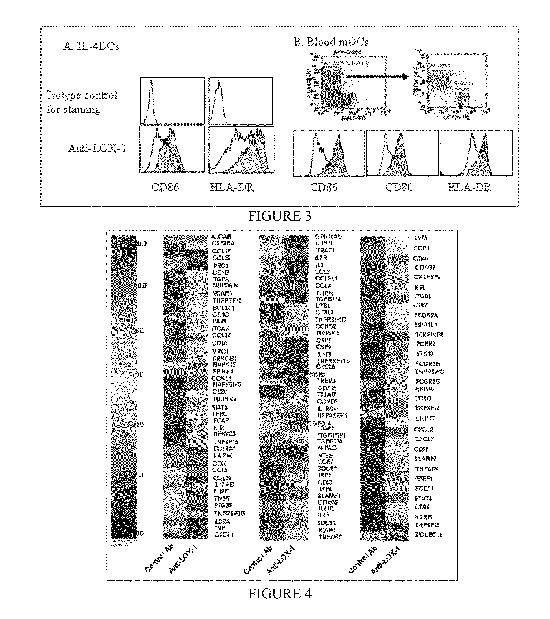 Activation of human antigen-presenting cells through dendritic cell lectin-like oxidized LDL receptor-1 (LOX-1)