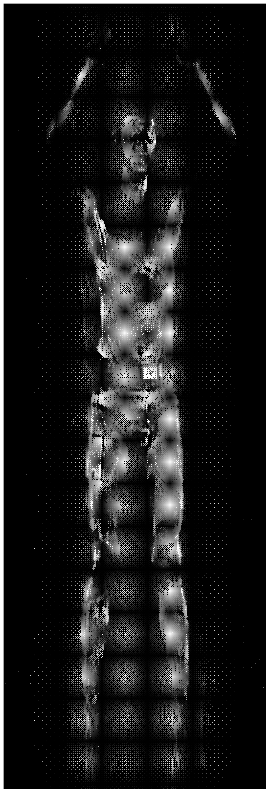 Automatic detection and identification apparatus of concealed object