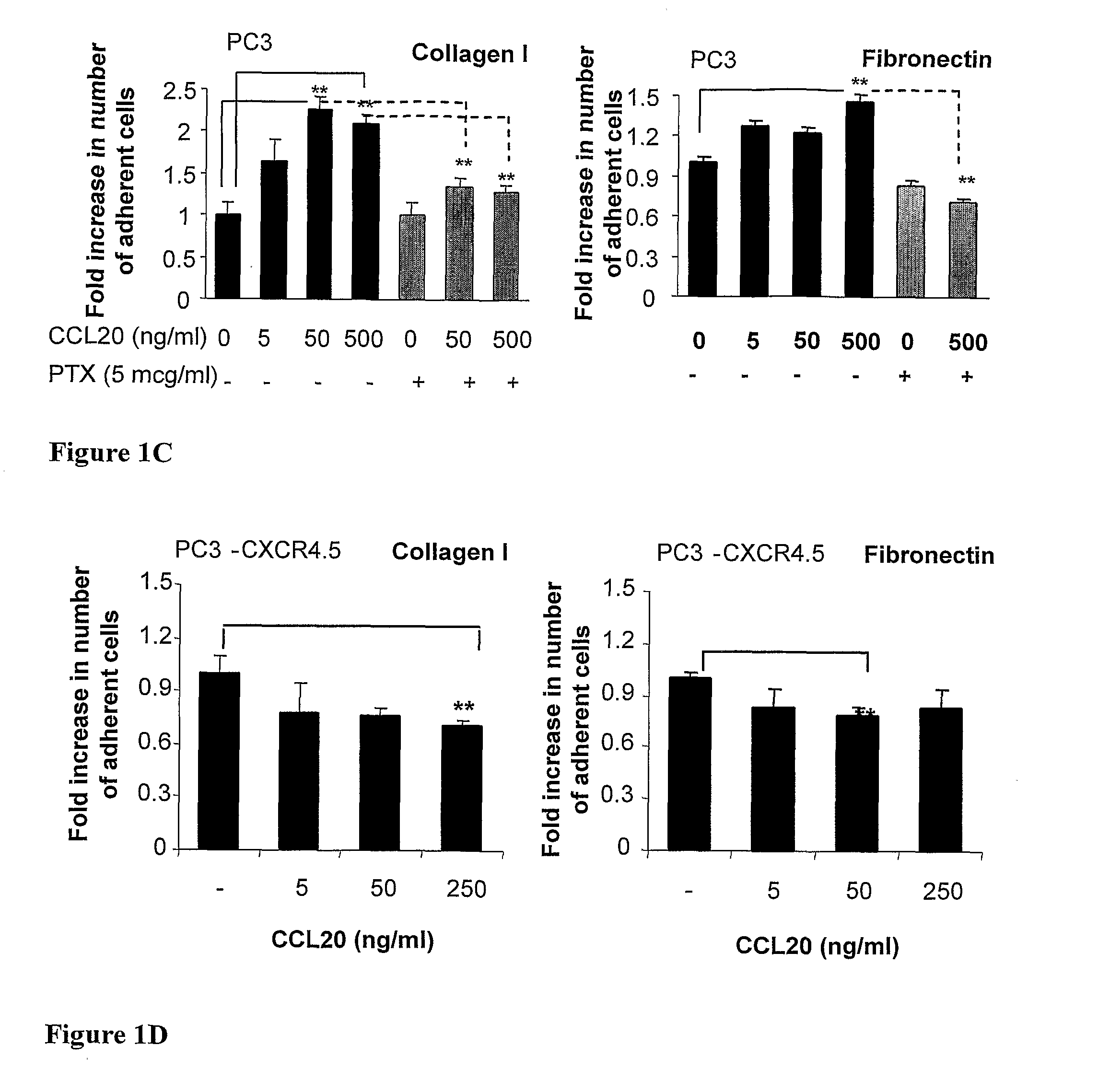 Ccl20-specific antibodies for cancer therapy