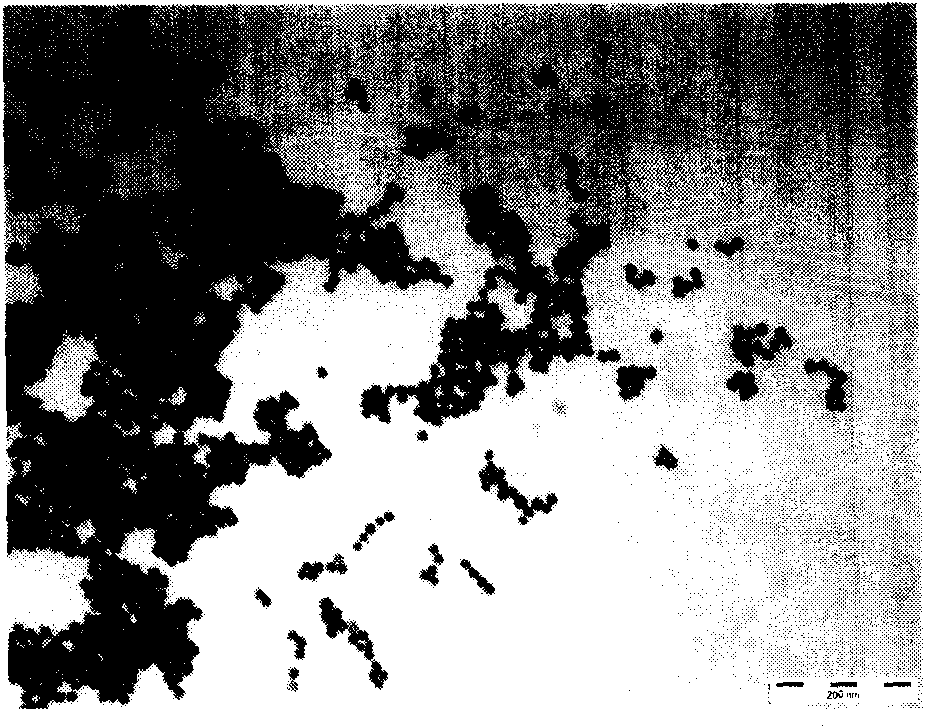 Antigen detection method and application thereof