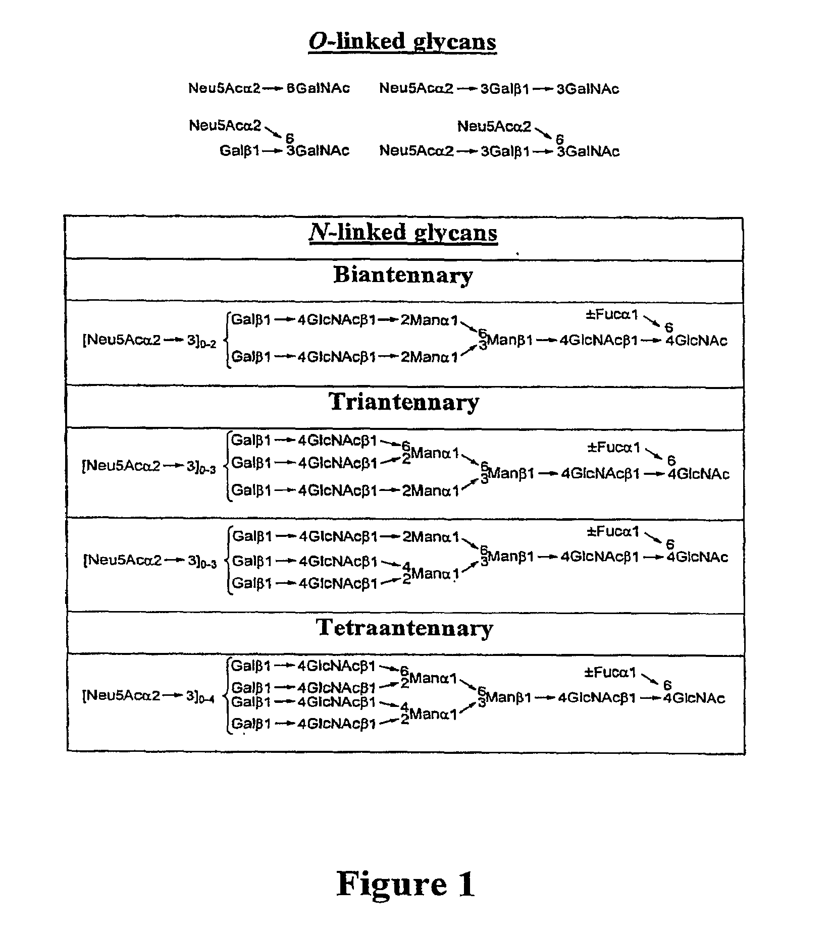 Homogeneous Erythropoietin and Other Peptides and Proteins, Methods and Intermediates for Their Preparation