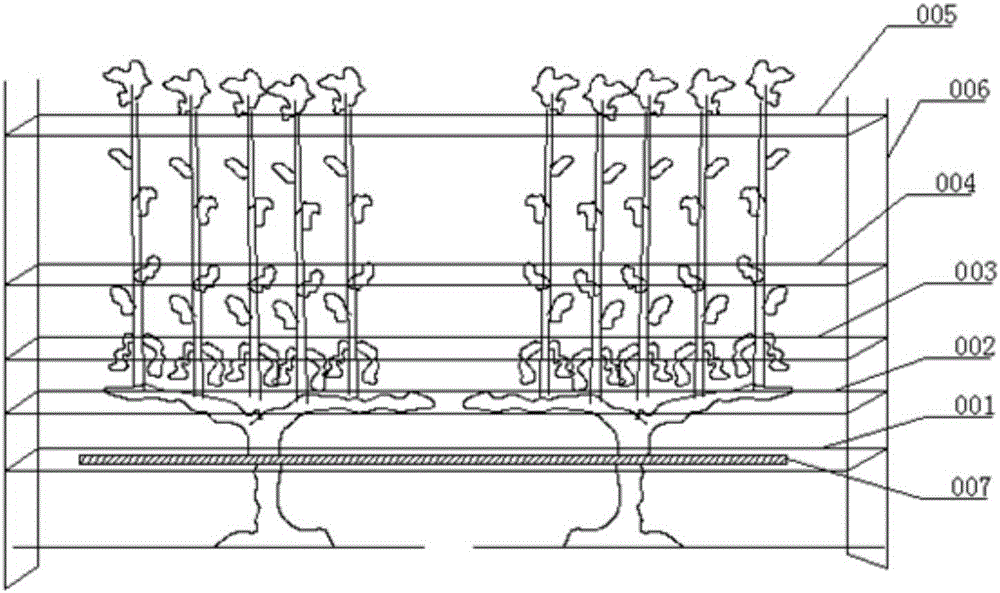 Cultivation method capable of wintering brewing grapes