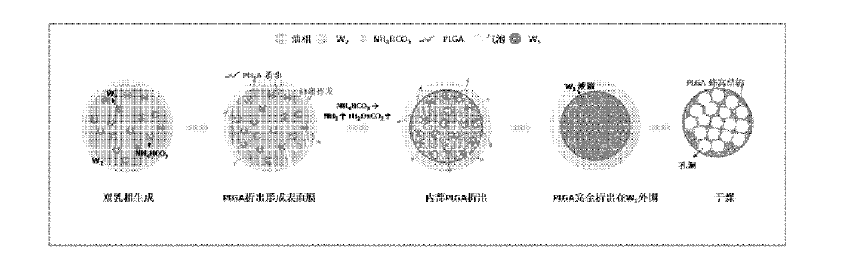 Method for preparing faveolate polymer microsphere on basis of micro-fluidic chip