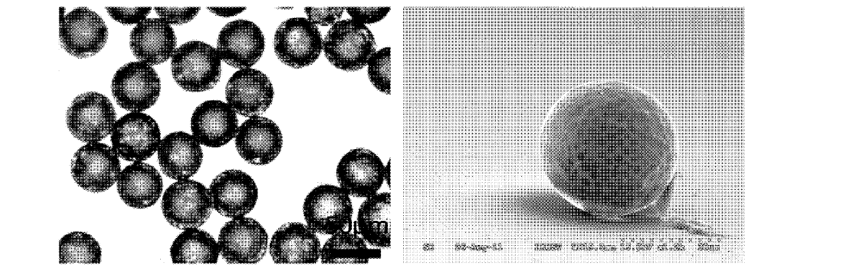 Method for preparing faveolate polymer microsphere on basis of micro-fluidic chip