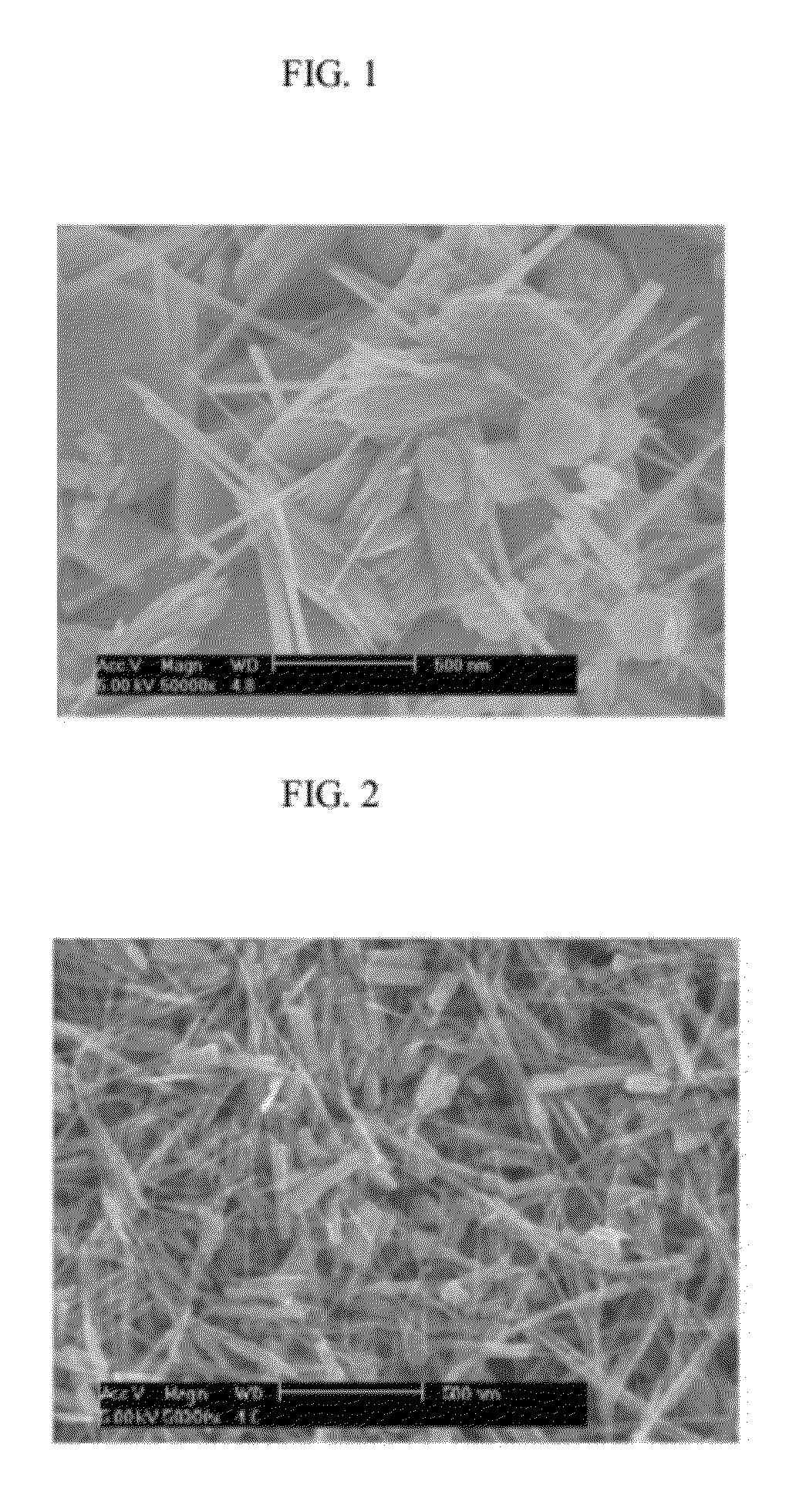 Manganese oxide nanowire, rechargeable battery including the same and method of producing manganese oxide