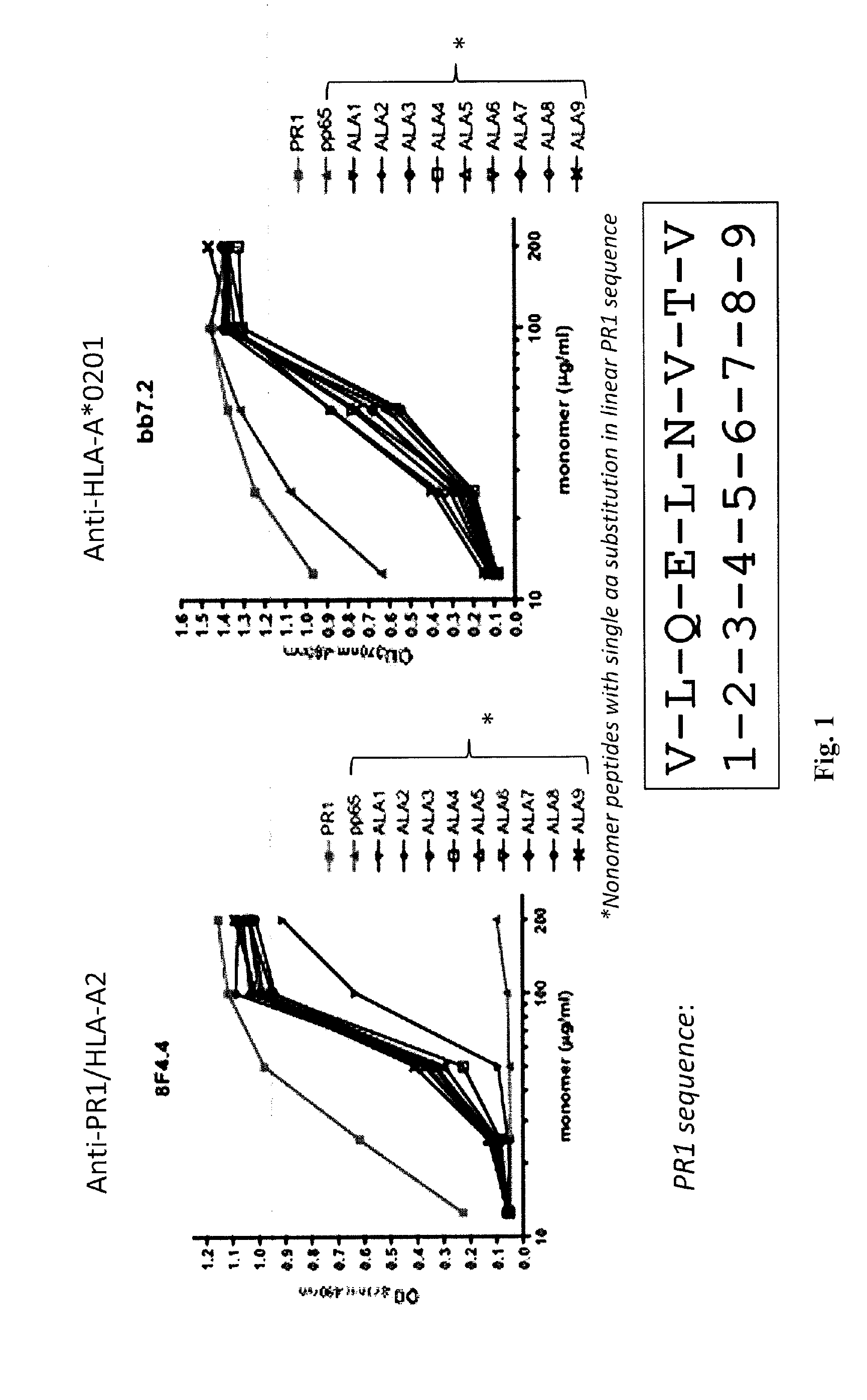 Monoclonal Antibodies For Use In Diagnosis and Therapy of Cancers and Autoimmune Disease