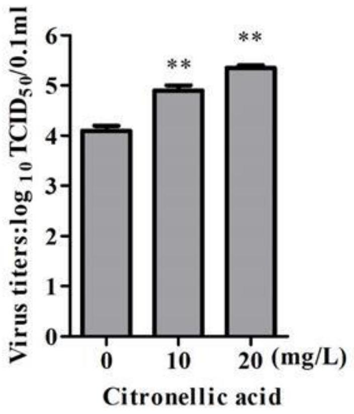 Application of citronellic acid as vaccine production synergist