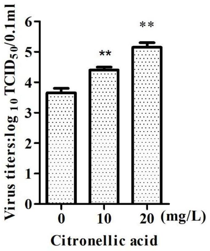 Application of citronellic acid as vaccine production synergist