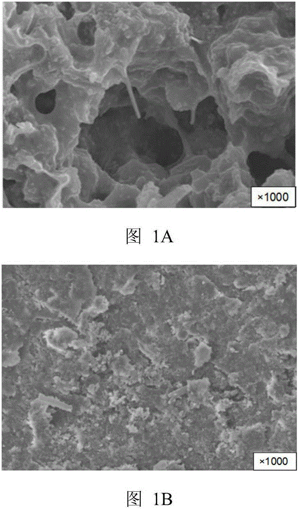 Method for preparing epoxy novolac nanometer anticorrosive paint