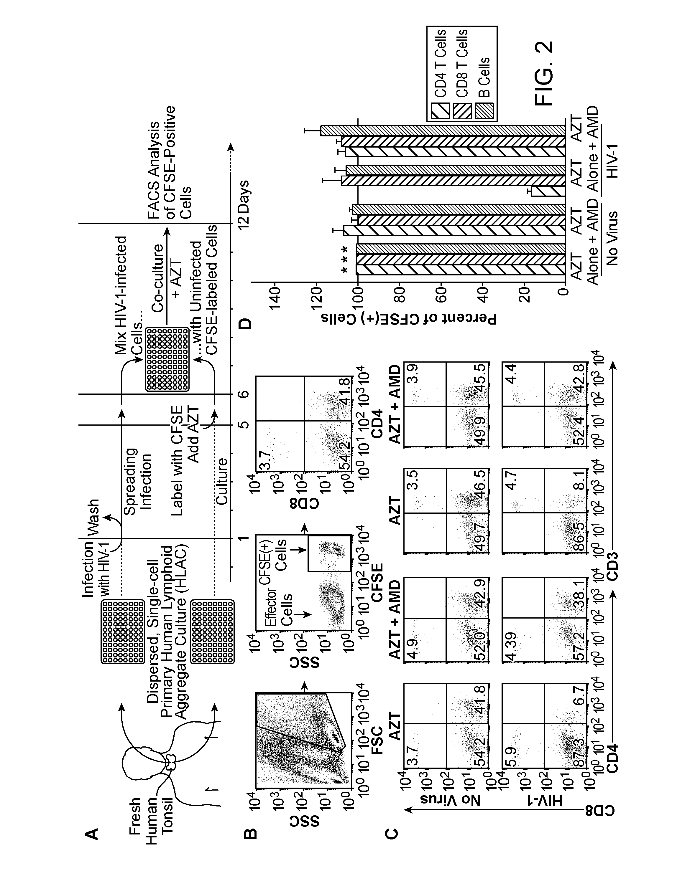 Treatment Of HIV-1 Infection And AIDS