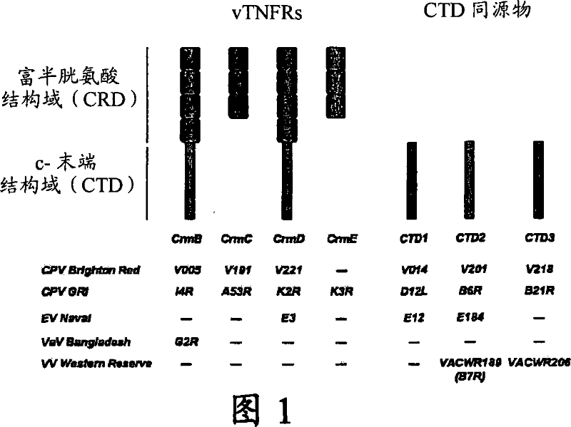 Chemokine binding activity of viral TNF receptors and related proteins