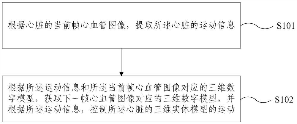 Digital 3D simulation method and device for cardiac motion