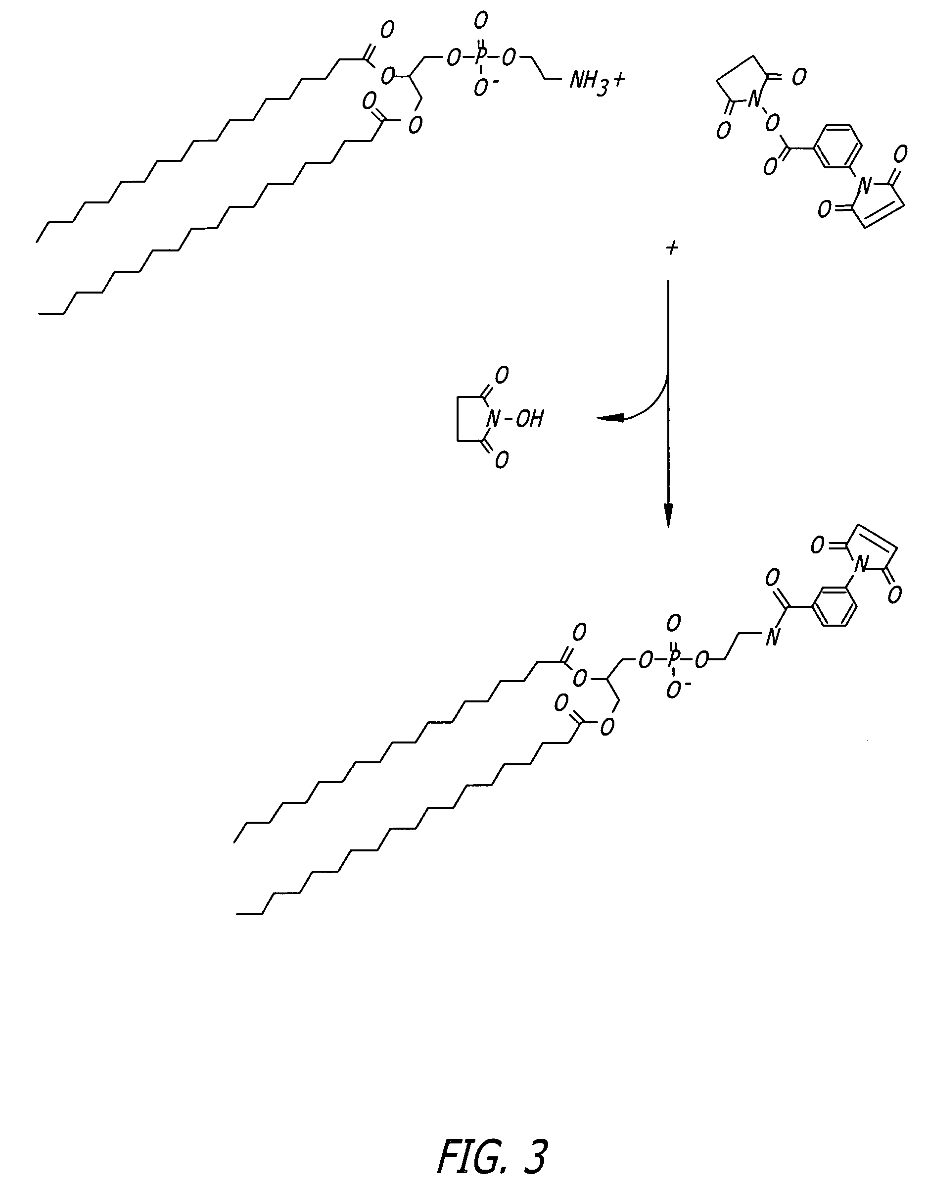 Self-assembling nanoparticle drug delivery system