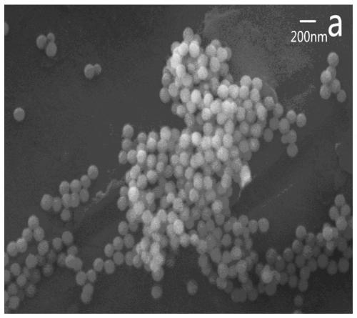 Nano spherical lithium hydroxide and preparation method thereof