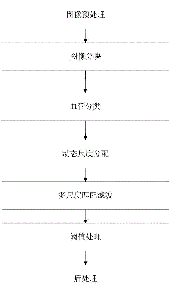 Dynamic scale distribution-based retinal vessel extraction method and system