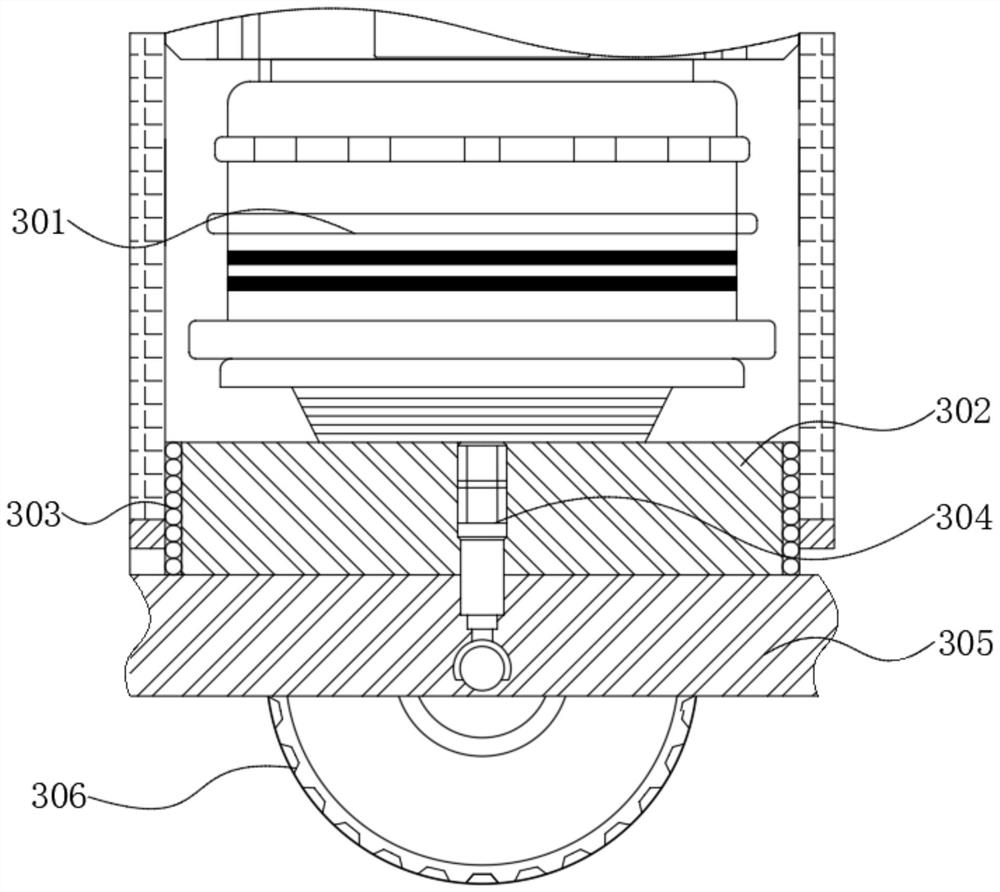 Carrying robot for intelligent warehouse