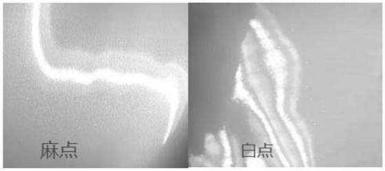 Solvent-free three-component polyurethane adhesive and preparation method thereof