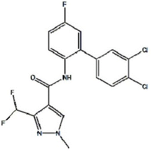 Sterilization composition containing Bixafen and epoxiconazole and application thereof