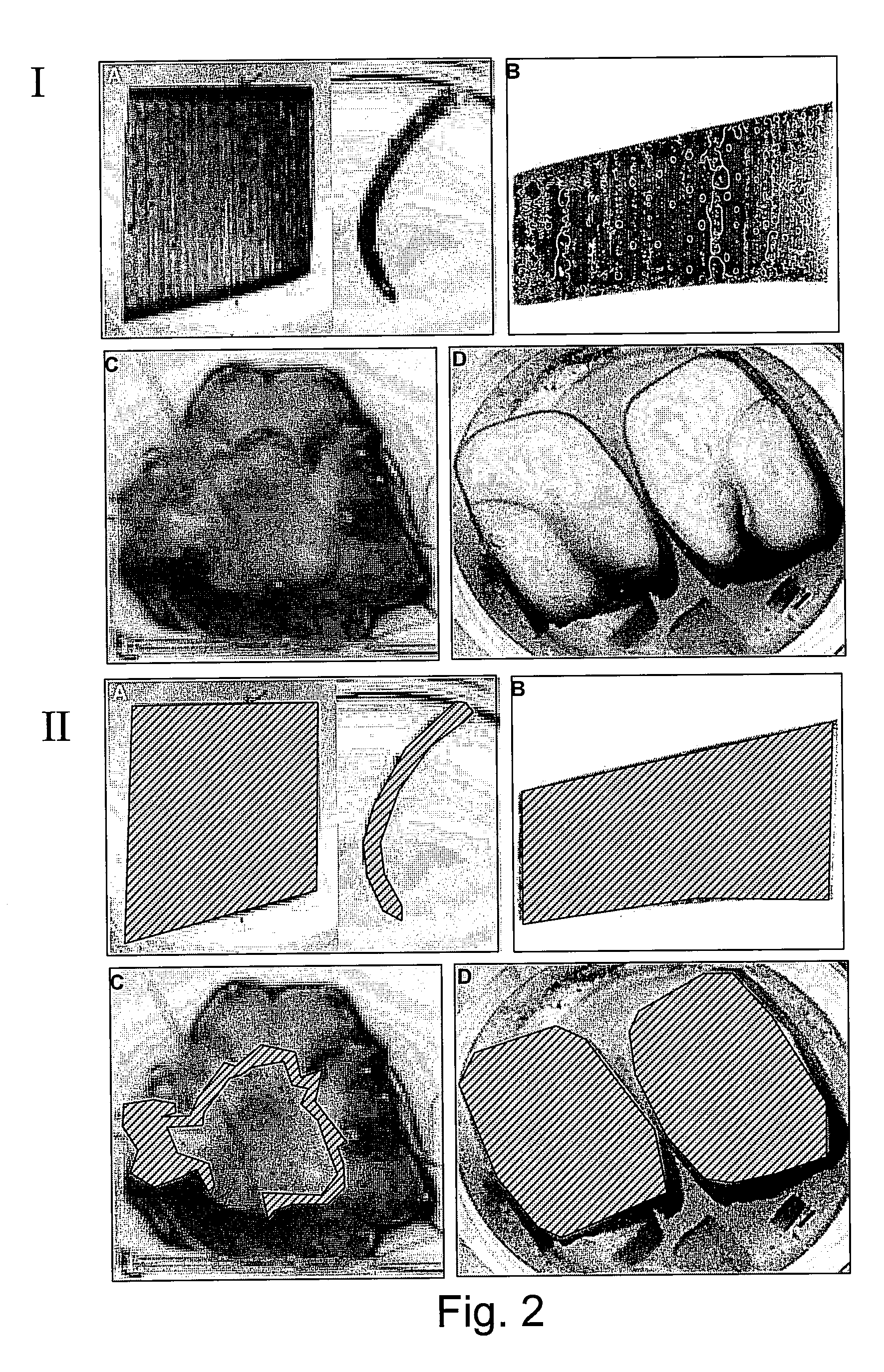 Expression Cassettes for Regulation of Expression in Monocotyledonous Plants