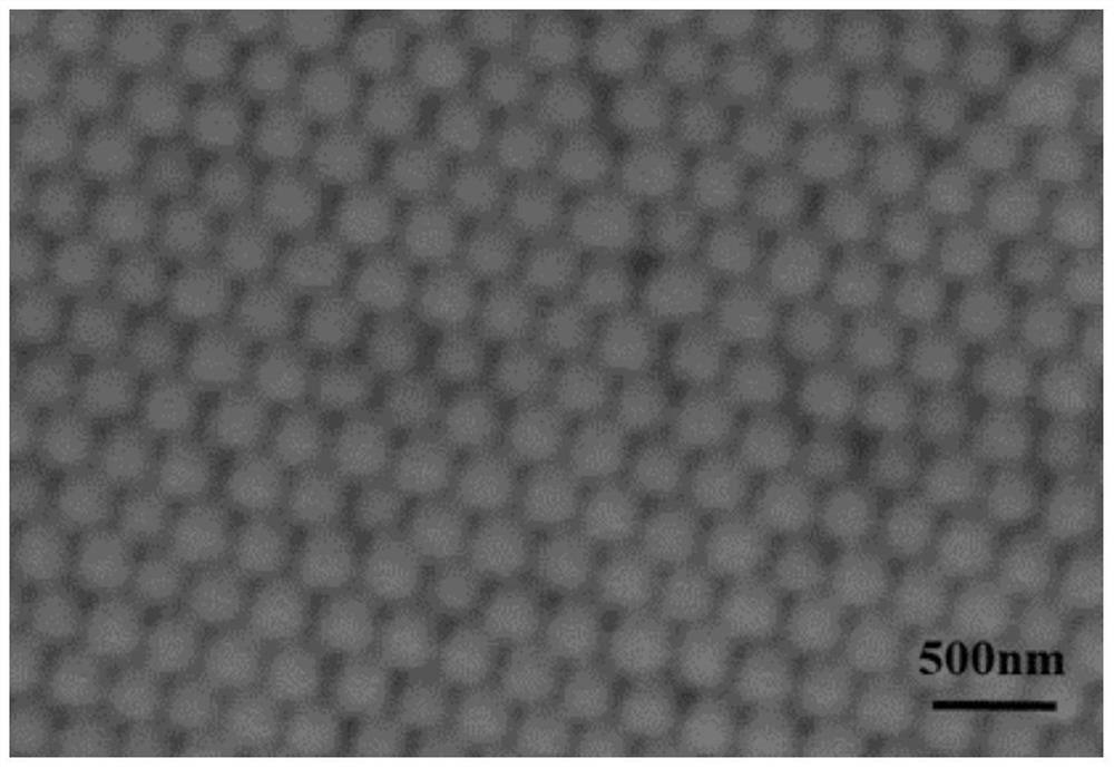 Photonic crystal molecularly imprinted hydrogel sensor based on water phase as well as preparation method and detection method of photonic crystal molecularly imprinted hydrogel sensor