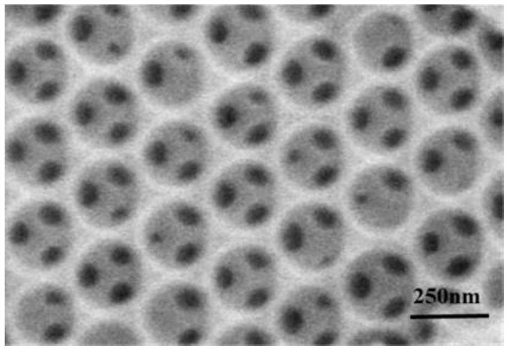 Photonic crystal molecularly imprinted hydrogel sensor based on water phase as well as preparation method and detection method of photonic crystal molecularly imprinted hydrogel sensor