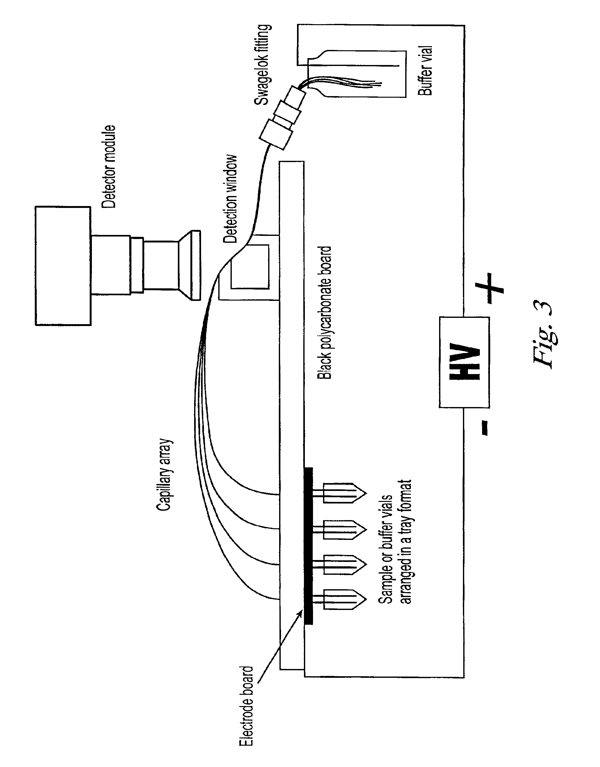 Copolymers for capillary gel electrophoresis