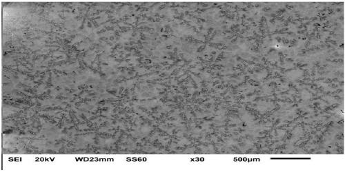 Preparation method of copper and iron immiscible alloy